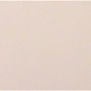 Meet your Posher, Ella